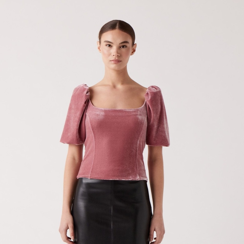 NWT Sophie Rue Velvet top.  Side zip closure.